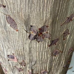 Beautiful scarf with light purple flowers.